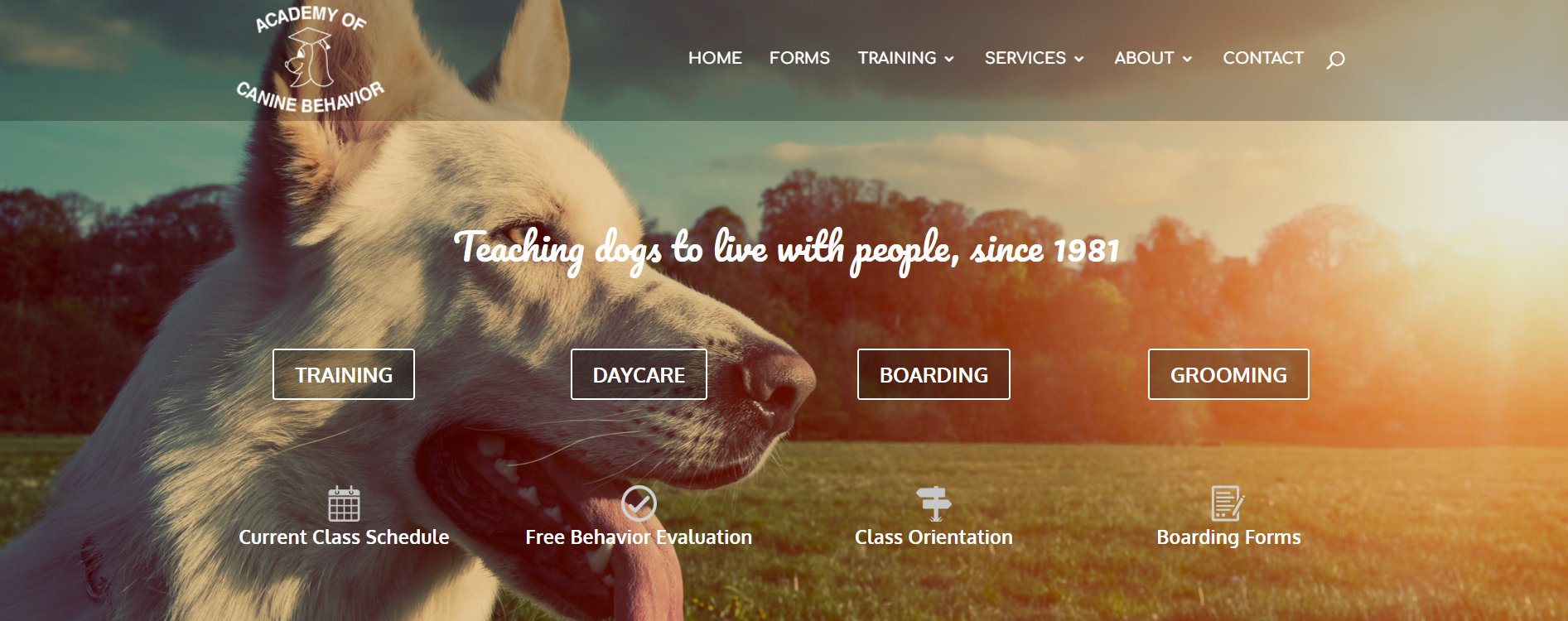 The Academy of Canine Behavior-loldogcat