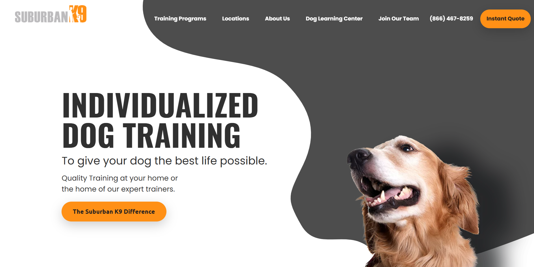 Affordable Dog Training Near Me-loldogcat
