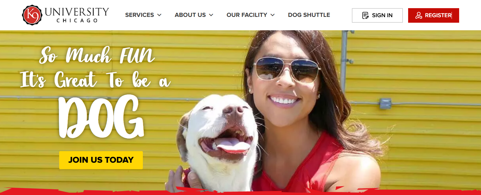 The best dog training camp for the money near me-loldogcat