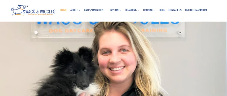 top10 training and boarding for dogs near me-loldogcat