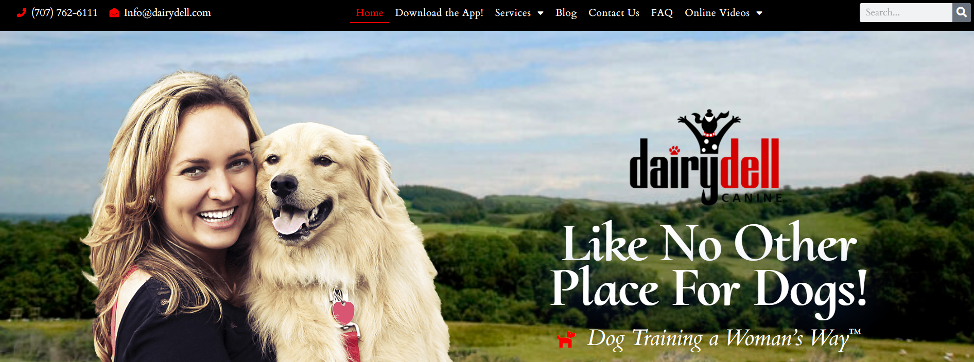 2025 top10 the best dog camp near me-loldogcat