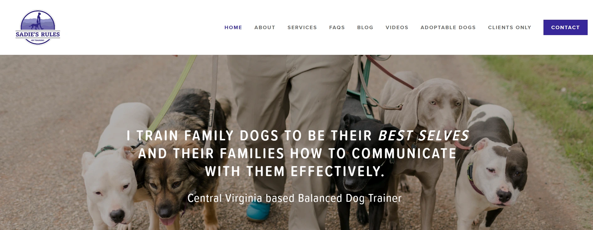 :Affordable Dog Training Near Me 2025-loldogcat